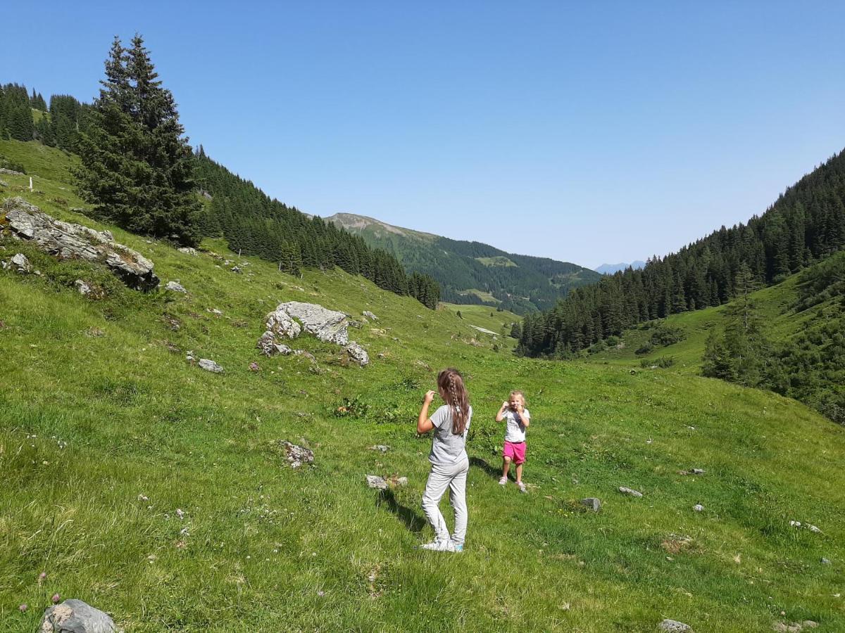 Apartments Teglbauernhof, Huette, Chalet, Mobilheim, Appartement, Ferienwohnung, Pension, Urlaub Uttendorf Buitenkant foto