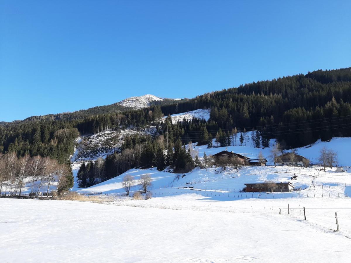 Apartments Teglbauernhof, Huette, Chalet, Mobilheim, Appartement, Ferienwohnung, Pension, Urlaub Uttendorf Buitenkant foto