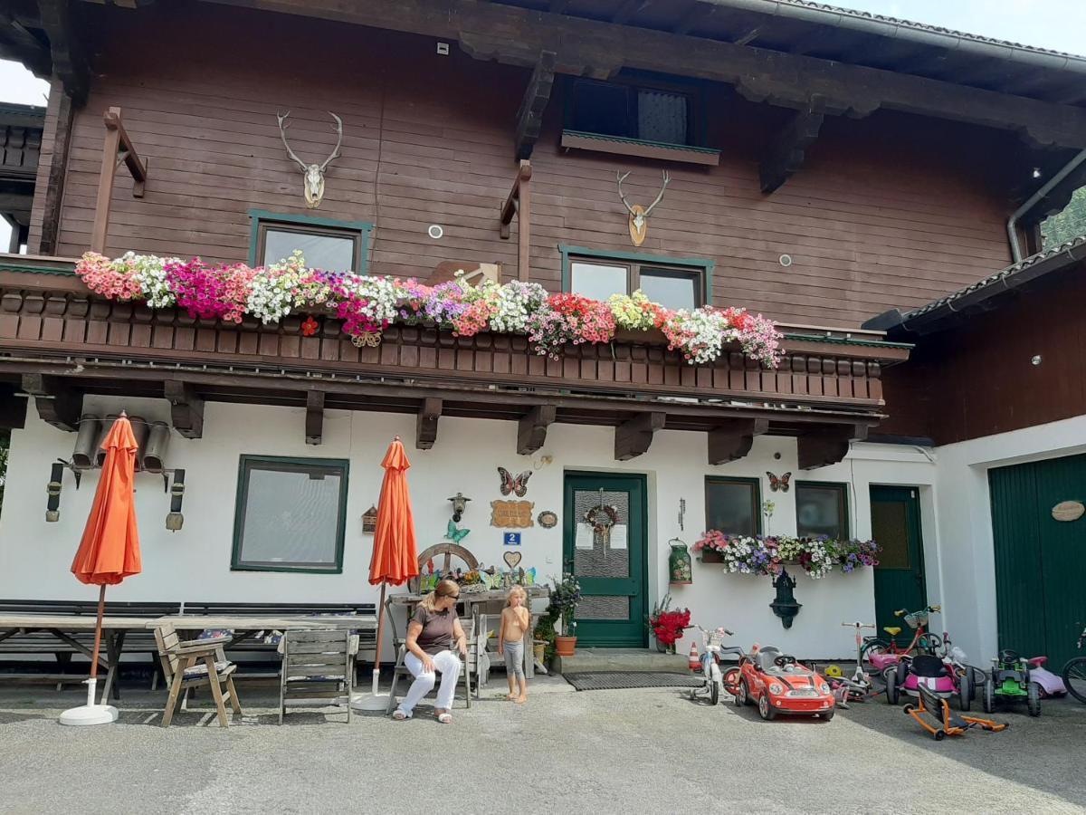 Apartments Teglbauernhof, Huette, Chalet, Mobilheim, Appartement, Ferienwohnung, Pension, Urlaub Uttendorf Buitenkant foto