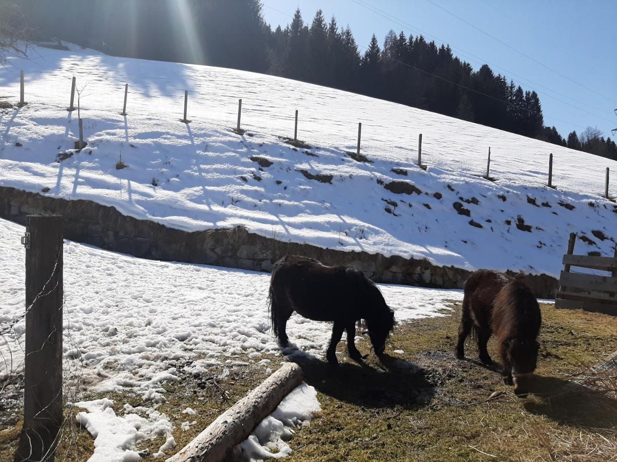 Apartments Teglbauernhof, Huette, Chalet, Mobilheim, Appartement, Ferienwohnung, Pension, Urlaub Uttendorf Buitenkant foto