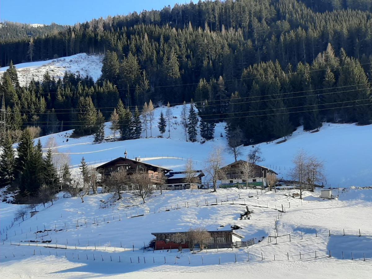 Apartments Teglbauernhof, Huette, Chalet, Mobilheim, Appartement, Ferienwohnung, Pension, Urlaub Uttendorf Buitenkant foto